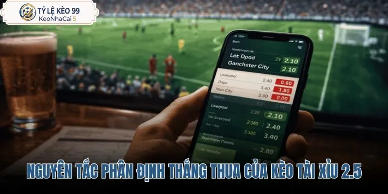 ban-chat-va-nguyen-tac-phan-dinh-thang-thua-cua-keo-tai-xiu-2-5