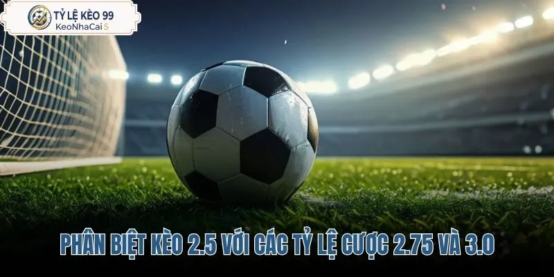 phan-biet-keo-2-5-voi-cac-ty-le-cuoc-2-75-va-3-0