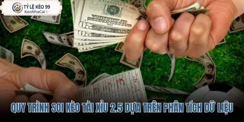 quy-trinh-soi-keo-tai-xiu-2-5-dua-tren-phan-tich-du-lieu